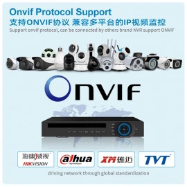 Network hd camera night vision full-color mobile phone remote surveillance camera outdoor waterproof ONVIF camera 2 million