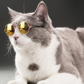 Small Pet Dogs Cats Eyewear Sunglasses Universal Eye Protective Photos Props