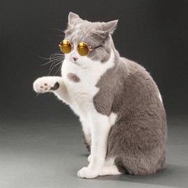 Small Pet Dogs Cats Eyewear Sunglasses Universal Eye Protective Photos Props