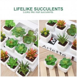 Artificial Succulents Ceramics