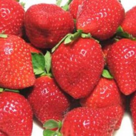 100 Seeds/Pack Fruit Strawberry Seeds Planters Farmer Green Vegetables Seeds(SMT, EBAY, AMAZON, WALM